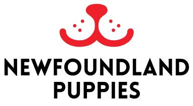 Newfoundland Puppies For Sale Logo